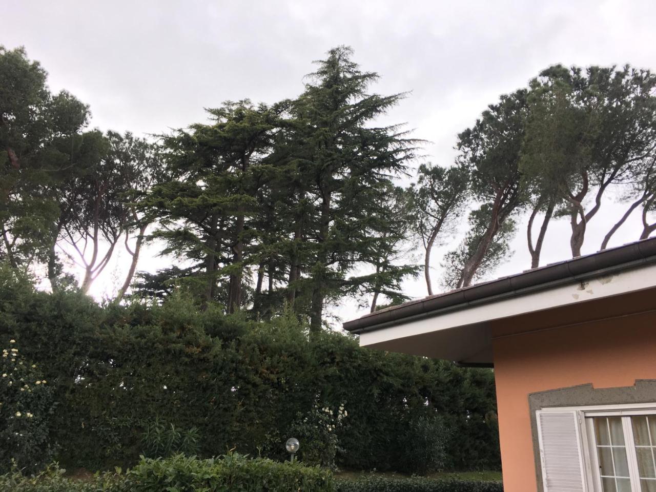 فراسكاتي Villagio B&B المظهر الخارجي الصورة